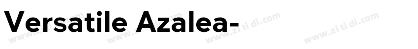 Versatile Azalea字体转换